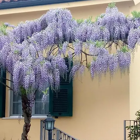 Villa Margot A *